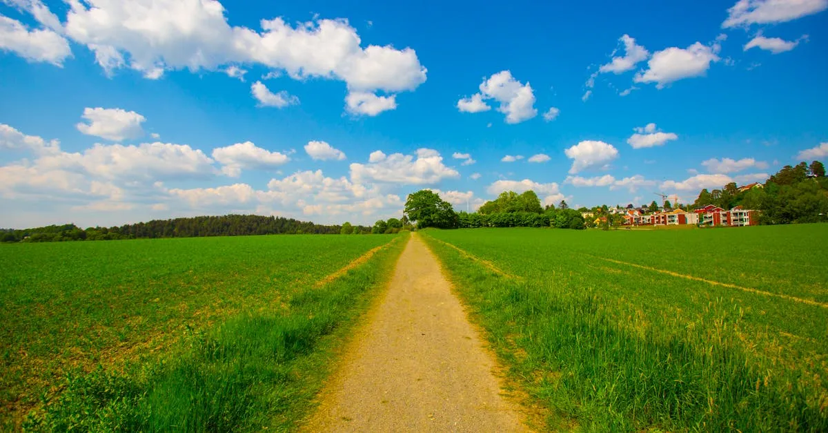 Zdjęcie Jak spędzić niezapomniany weekend na Podlasiu? Poradnik turysty