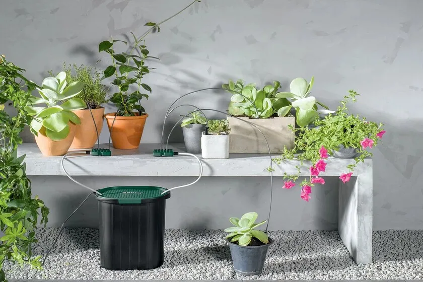 Zdjęcie Riego por goteo en Leroy Merlin: encuentra el sistema ideal para tu jardín
