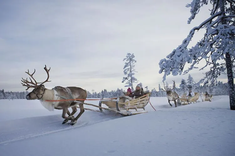 Zdjęcie Rovaniemi atrakcje, które zaskoczą każdego turystę w Laponii