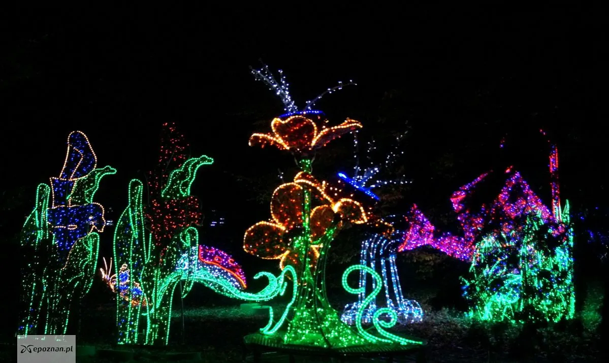 Zdjęcie Magiczny świat świateł: iluminacja Poznań zachwyca i inspiruje