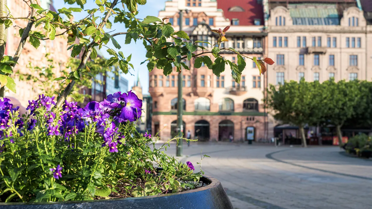 Zdjęcie Najlepsze atrakcje w Malmö, które musisz zobaczyć podczas wizyty