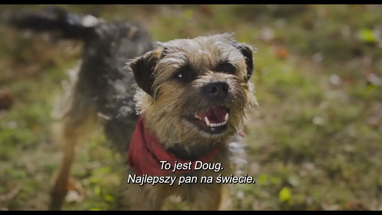 Zdjęcie Najlepsze filmy o gadających psach, które poruszą twoje serce