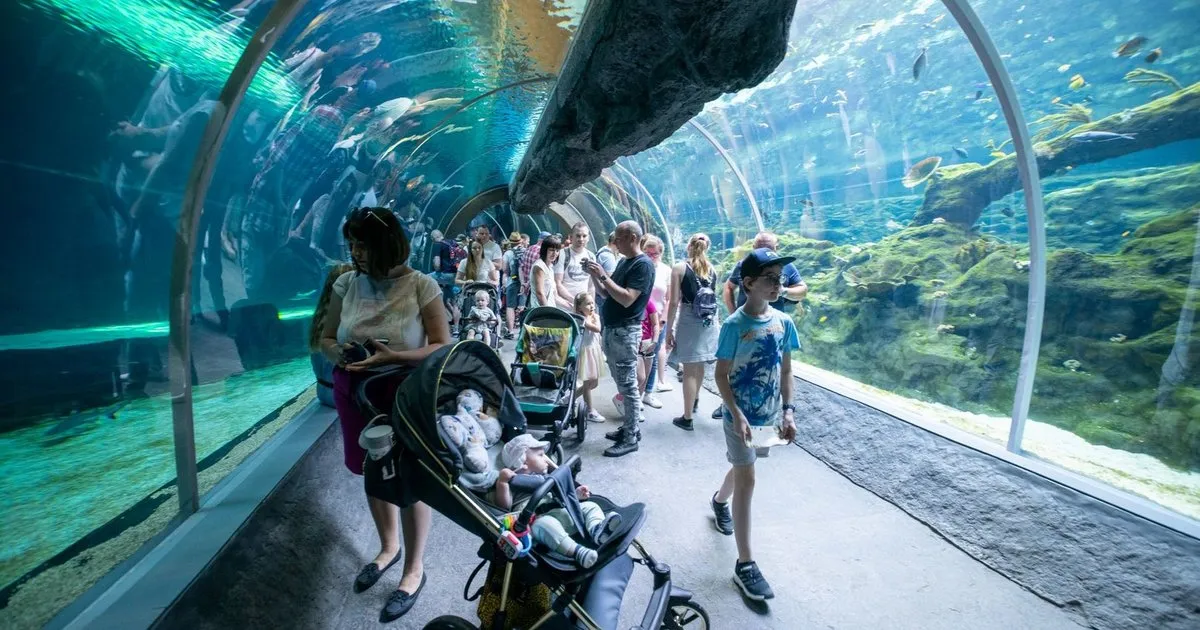 Zdjęcie Oceanarium Łódź: Niezapomniane atrakcje i podwodne przeżycia