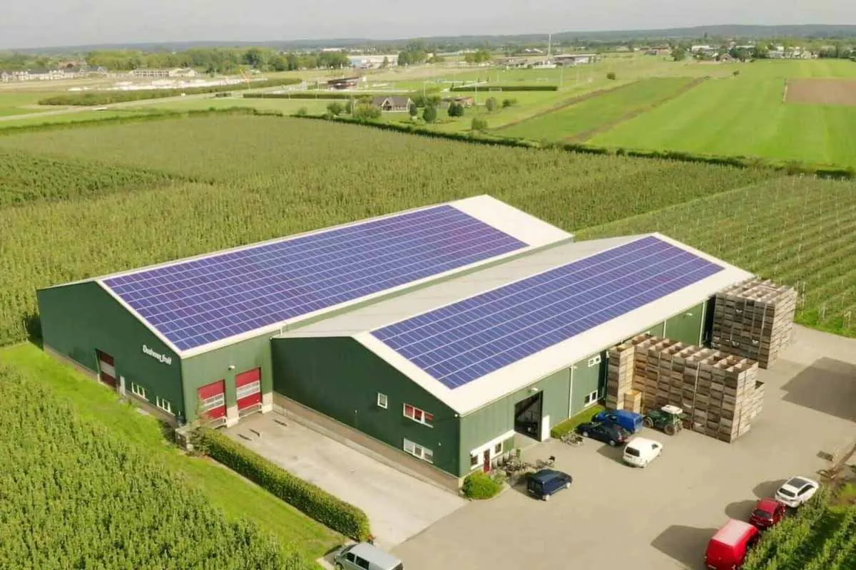 Zdjęcie Ile za dzierżawę pola pod fotowoltaikę? Poznaj ukryte koszty!