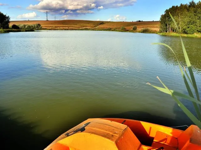 Zdjęcie Wodzisław Śląski: Atrakcje na weekend. Co warto zobaczyć?