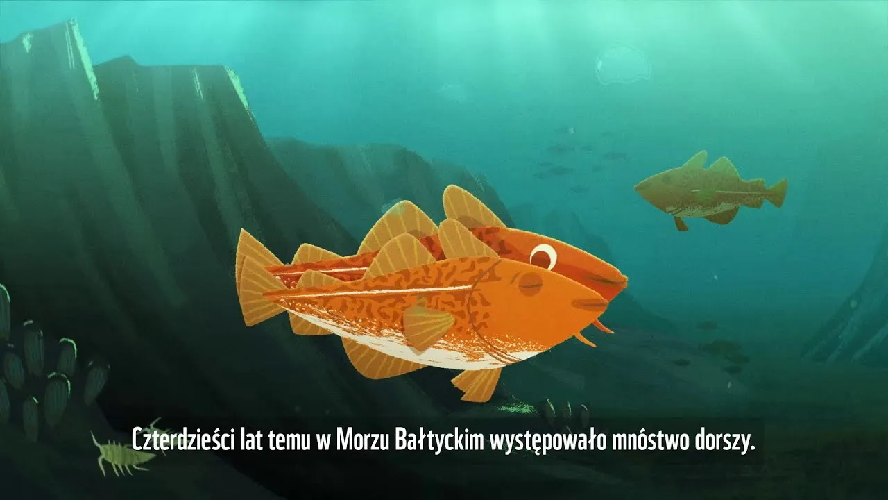 Zdjęcie Jakie ryby pływają w Bałtyku? Odkryj zaskakujące gatunki!