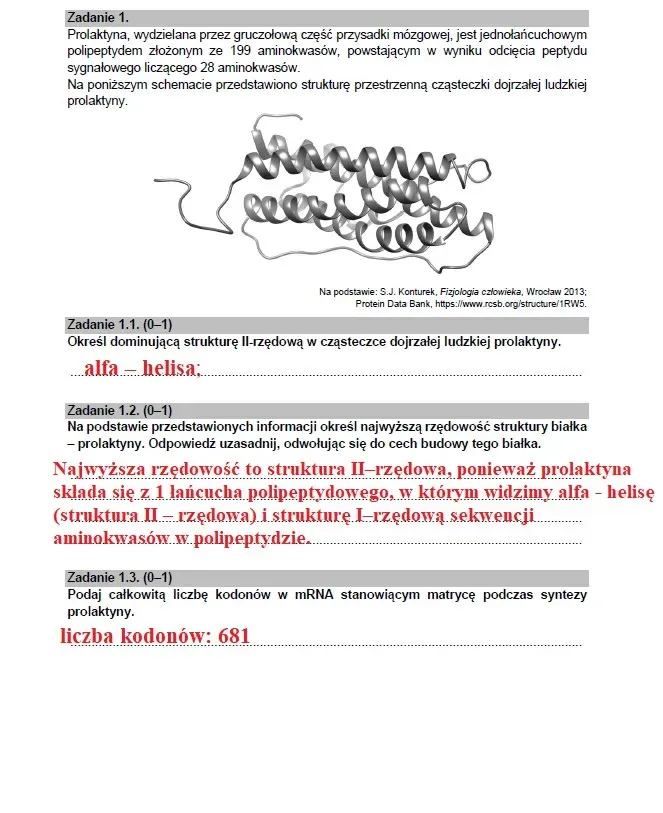 Zdjęcie Co można robić po rozszerzonej biologii? Odkryj ciekawe możliwości zawodowe