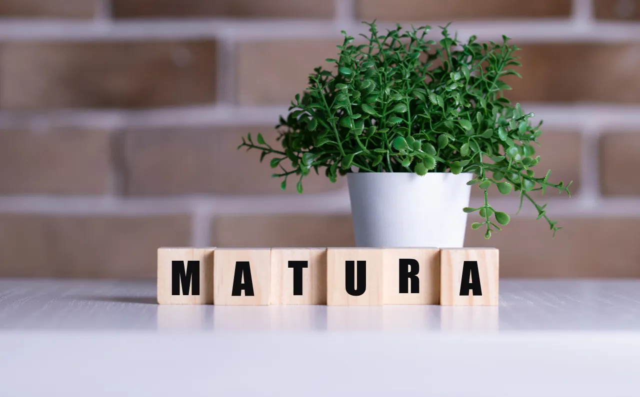 Zdjęcie Co wziąć na maturę z polskiego? Najważniejsze materiały i wskazówki