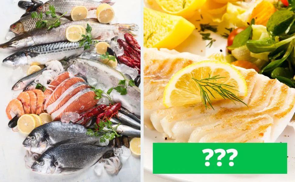 Zdjęcie Jaka ryba nad morzem? Odkryj najlepsze gatunki i porady kulinarne