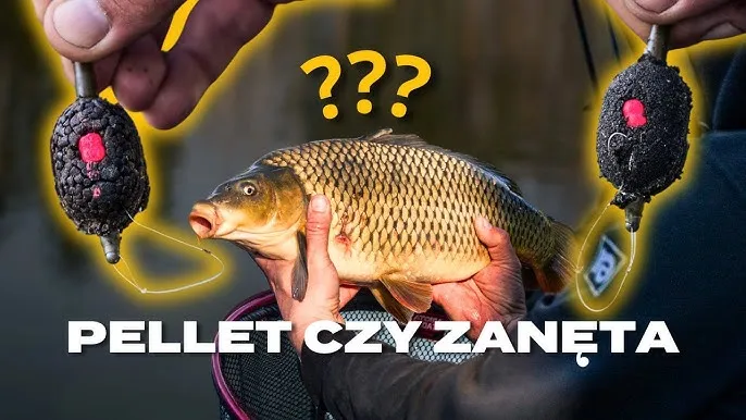 Zdjęcie Zanęty Genlog opinie: Czy naprawdę działają? Sprawdź recenzje użytkowników