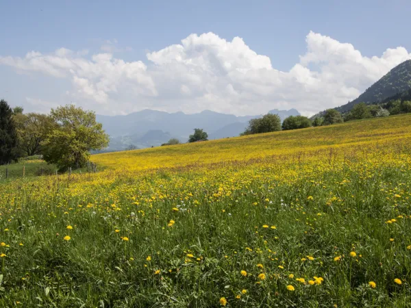 Zdjęcie Jaka pogoda jutro w Ustroniu? Sprawdź prognozę na dzień pełen zmian