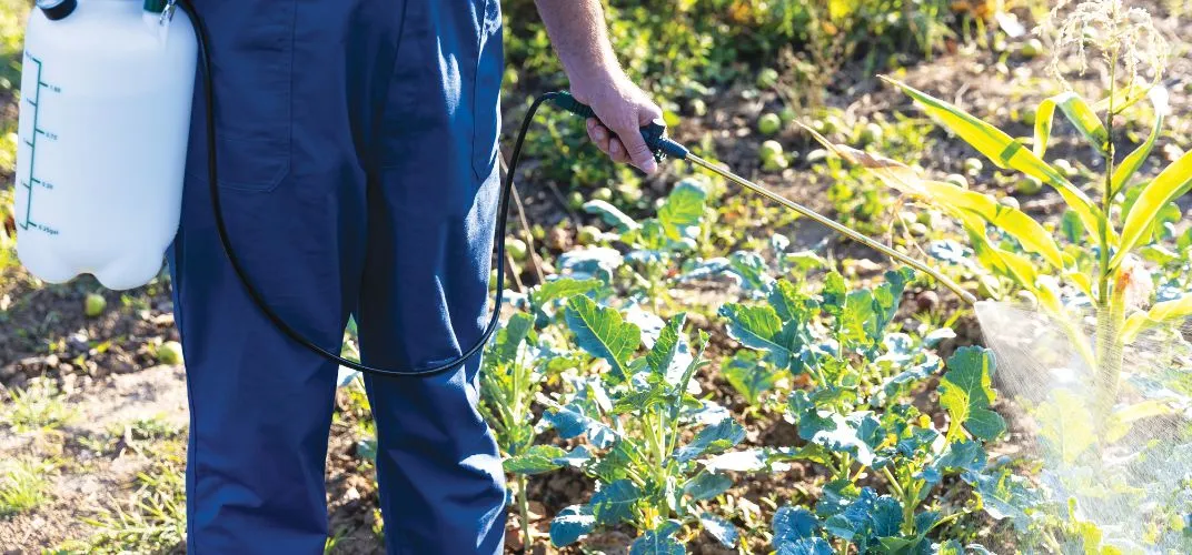 Zdjęcie Jak opryskiwać randapem: 7 kluczowych zasad bezpiecznego użycia