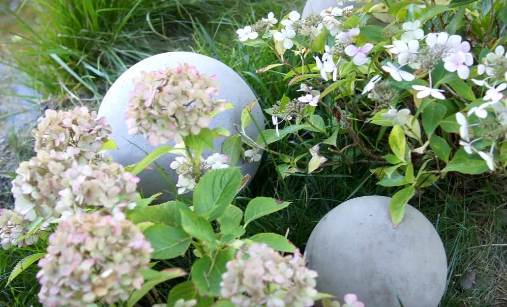 Zdjęcie Betonowe kule do ogrodu krok po kroku. Prosty sposób na wyjątkową dekorację