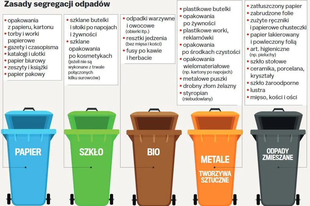 Zdjęcie Segregacja śmieci gdzie styropian - proste zasady sortowania i utylizacji