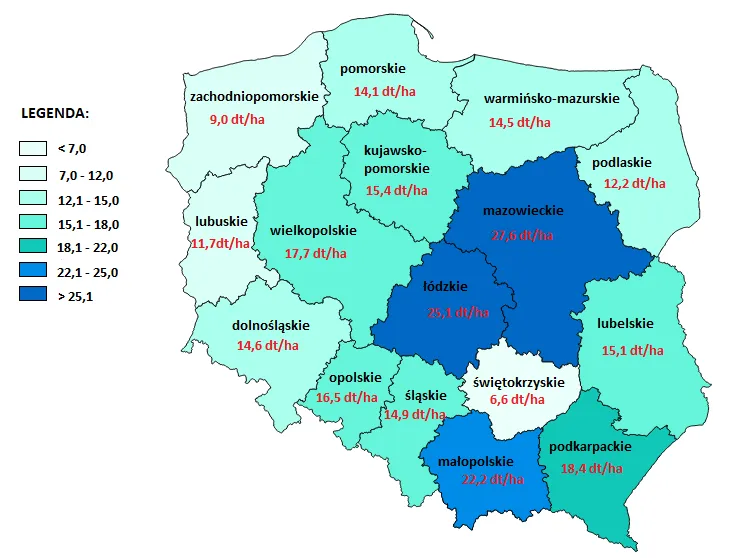 Zdjęcie Ile kosztuje hektar ziemi w świętokrzyskim? Zaskakujące ceny i czynniki wpływające na wartość