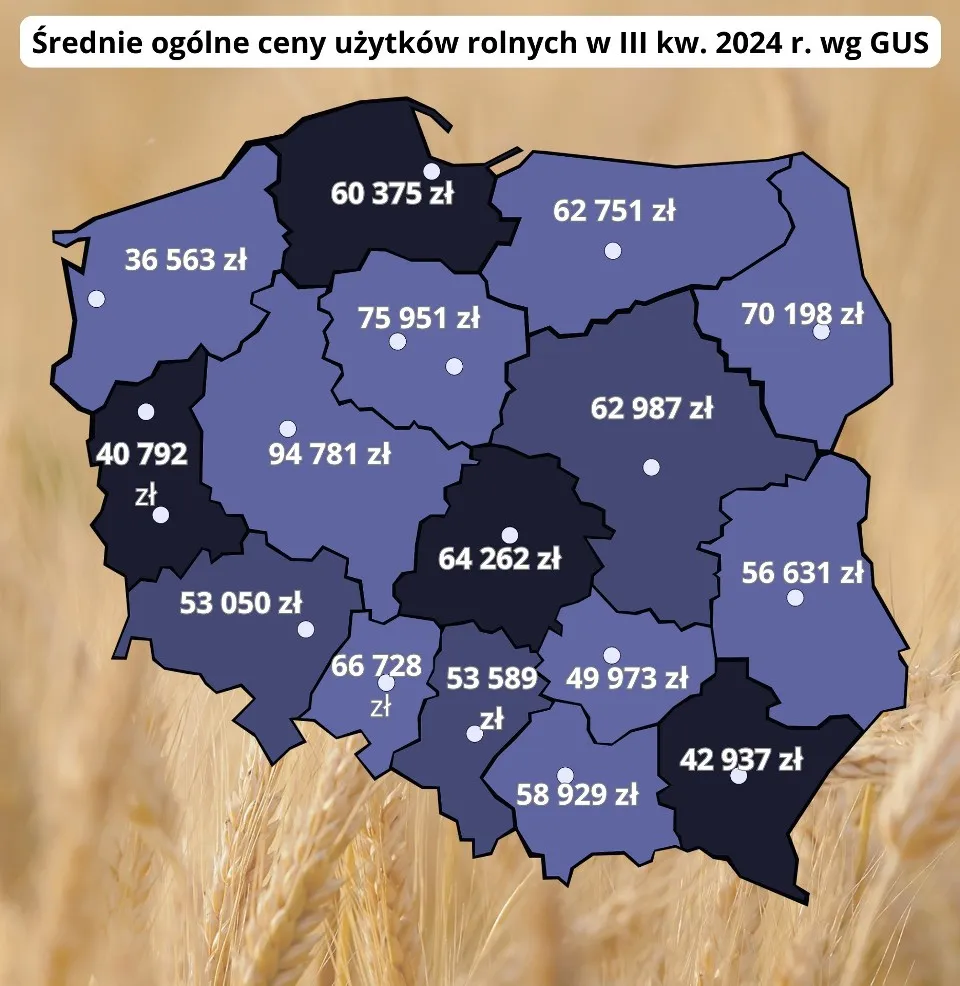 Zdjęcie Jaka cena gruntów rolnych? Sprawdź, gdzie są najniższe stawki