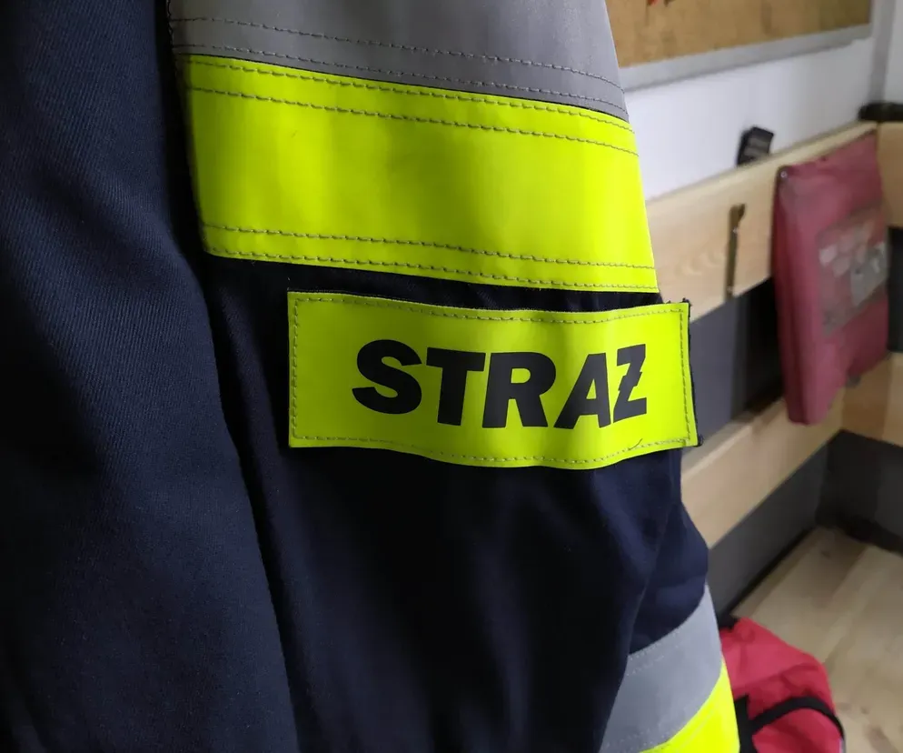 Zdjęcie Kim jest bohater? Odkryj cechy i znaczenie współczesnych bohaterów