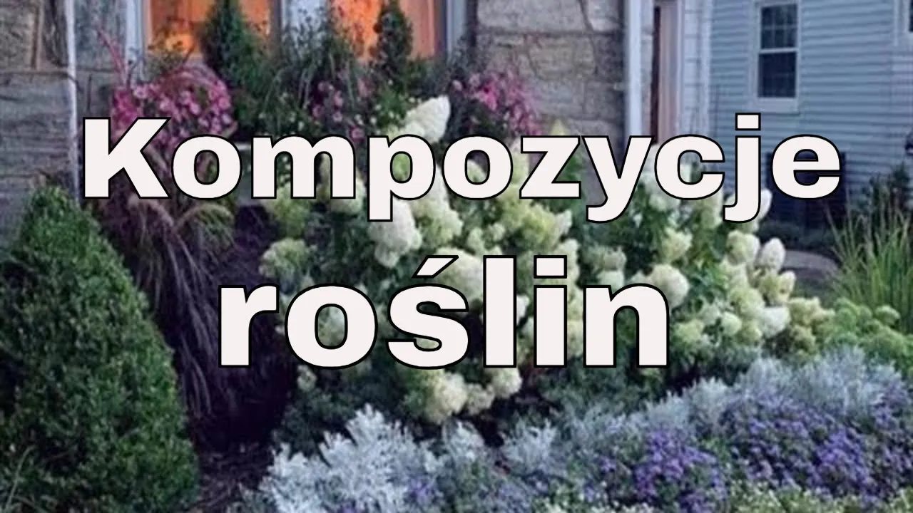 Zdjęcie Co posadzić pod oknami domu, aby stworzyć piękny ogród?