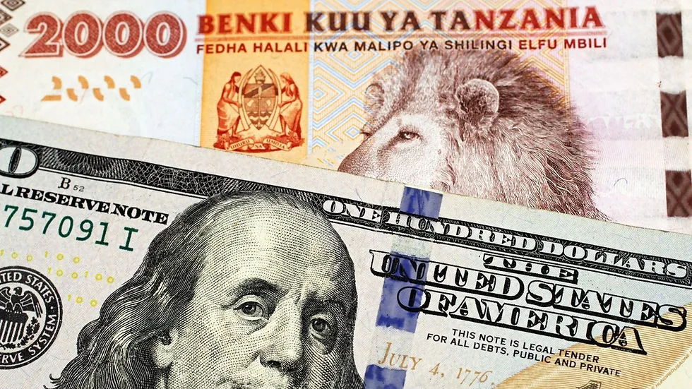 Zdjęcie Jaka waluta na Zanzibarze? Unikaj niepotrzebnych kosztów wymiany