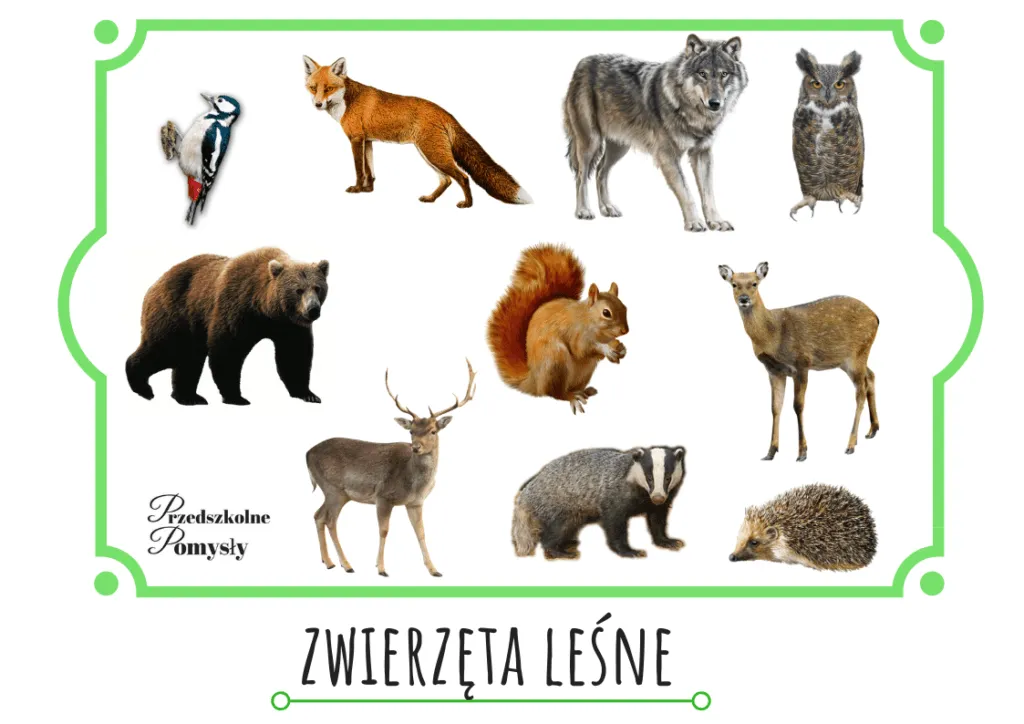 Zdjęcie Zwierzęta które zasypiają na zimę – ciekawostki i zabawy dla przedszkolaków