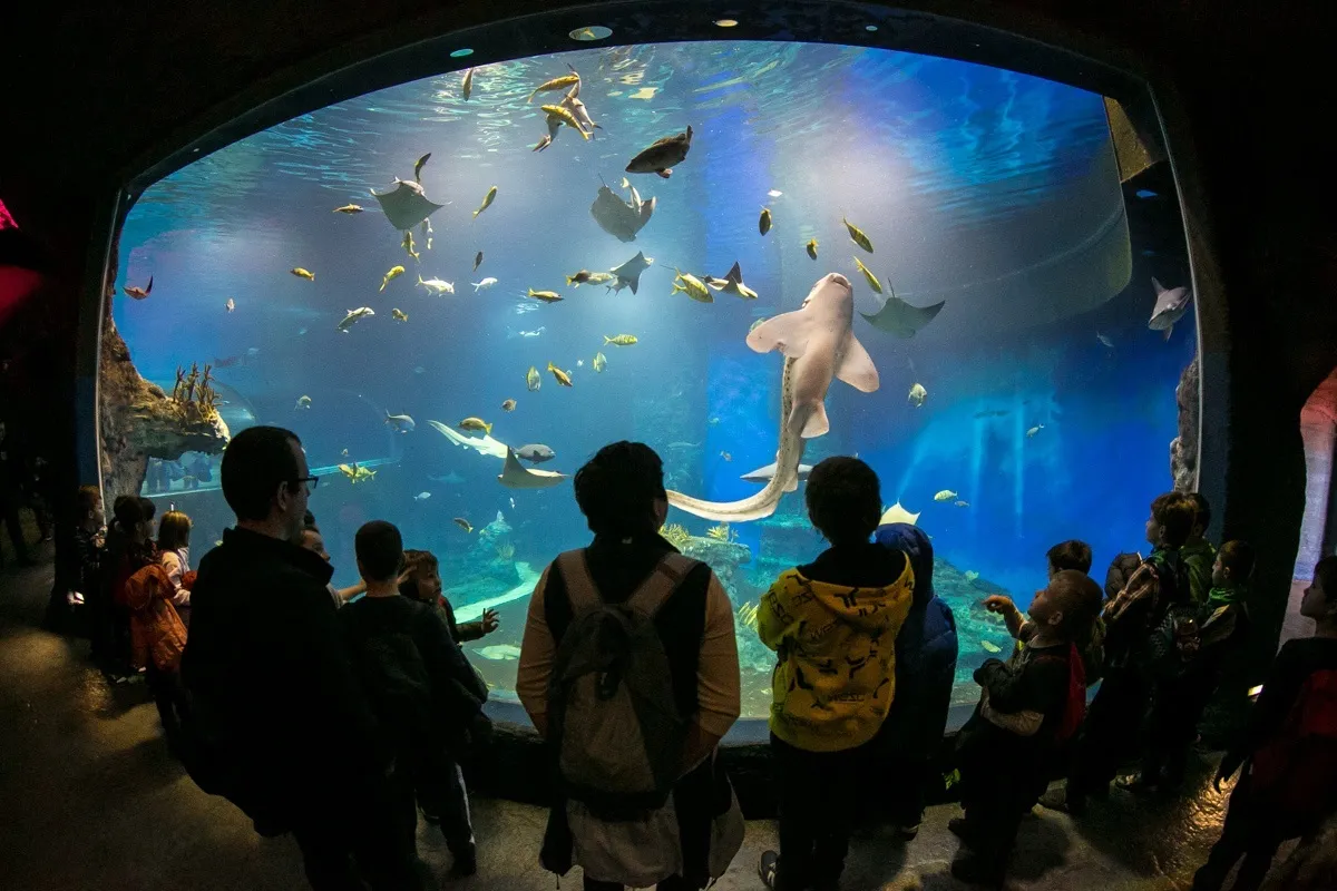 Zdjęcie Zoo Wrocław oceanarium: odkryj niezwykłe atrakcje Afrykarium