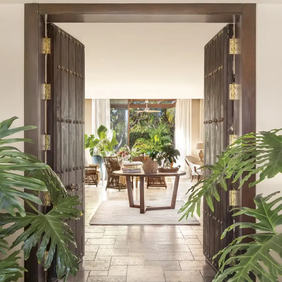 Zdjęcie Plantas que no necesitan sol directo: el secreto para un jardín en sombra