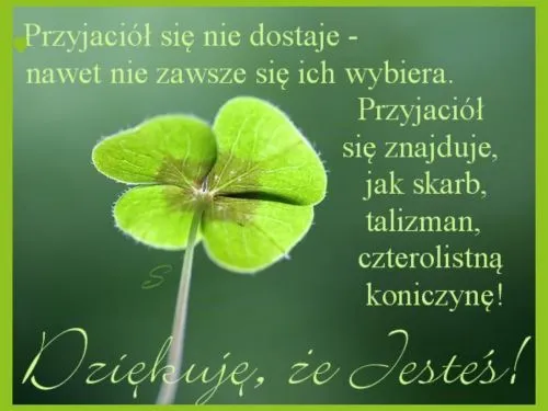 Zdjęcie Życzenia dla przyjaciółki: Jak wyrazić wdzięczność za przyjaźń?