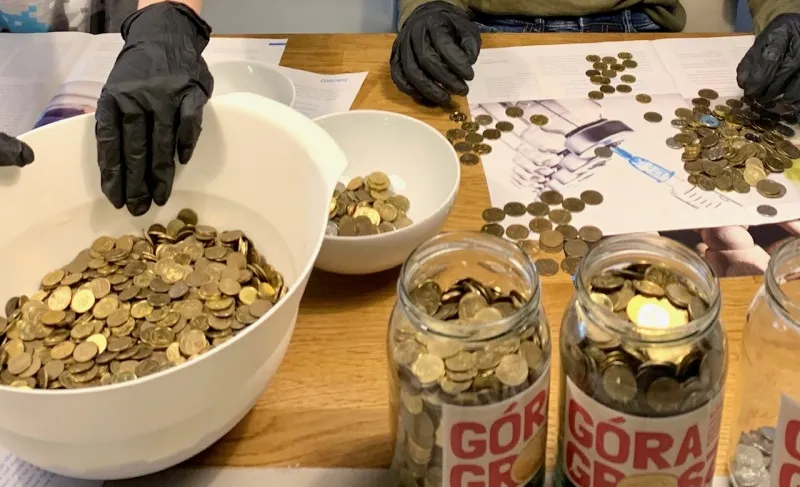 Zdjęcie Góra Grosza jakie monety - poznaj nominały, które pomogą dzieciom