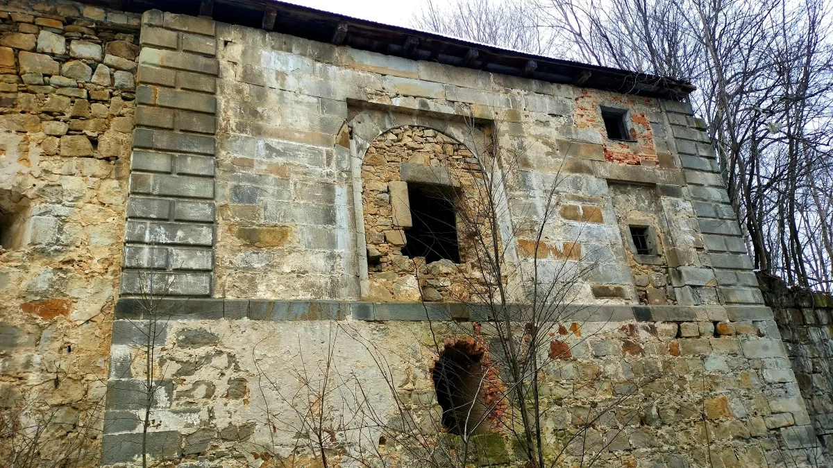 Zdjęcie Ruiny zamku Jana Amora Tarnowskiego w Rożnowie - historia i tajemnice