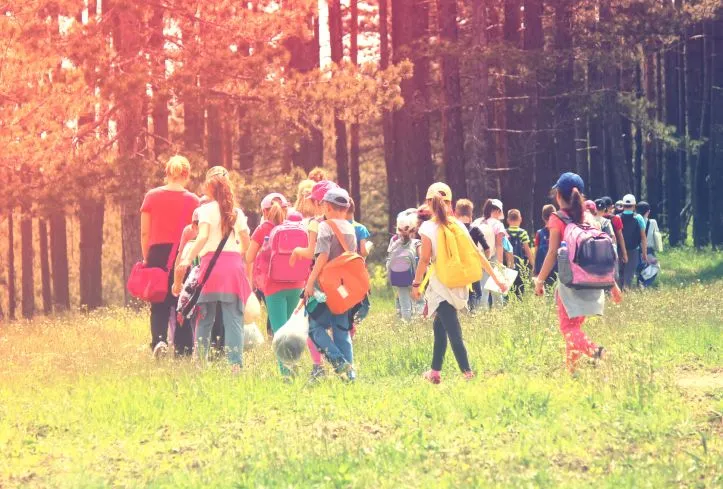 Zdjęcie Kto może być kierownikiem wycieczki szkolnej? Wymagania i zasady