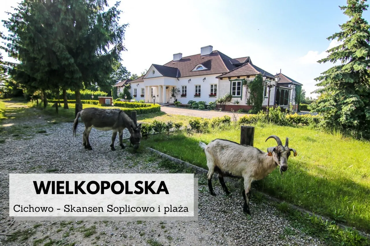 Zdjęcie Cichowo atrakcje, które zaskoczą i umilą Twój wypoczynek