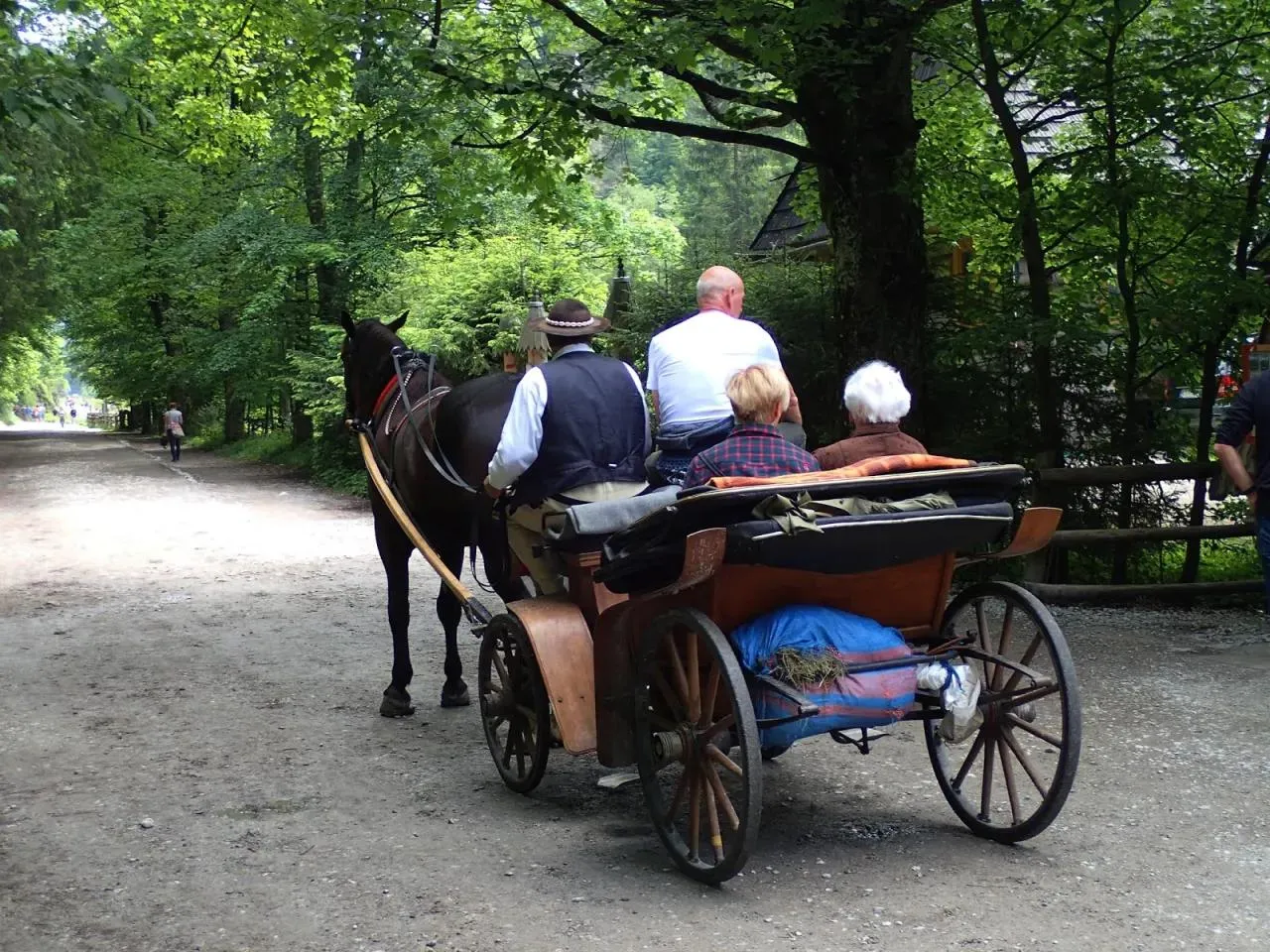Zdjęcie Aktualne ceny bryczek i transport w Dolinie Chochołowskiej: Czy warto?