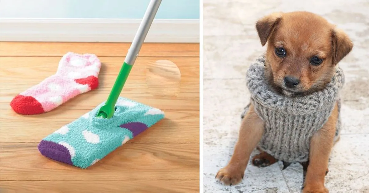 Zdjęcie Kreatywne sposoby na wykorzystanie starych skarpetek w domu