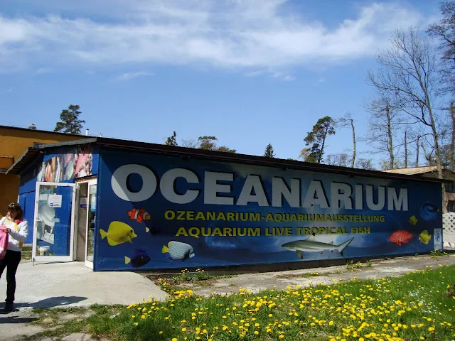Zdjęcie Ceny biletów do oceanarium w Gdańsku - różnice i zniżki dla rodzin