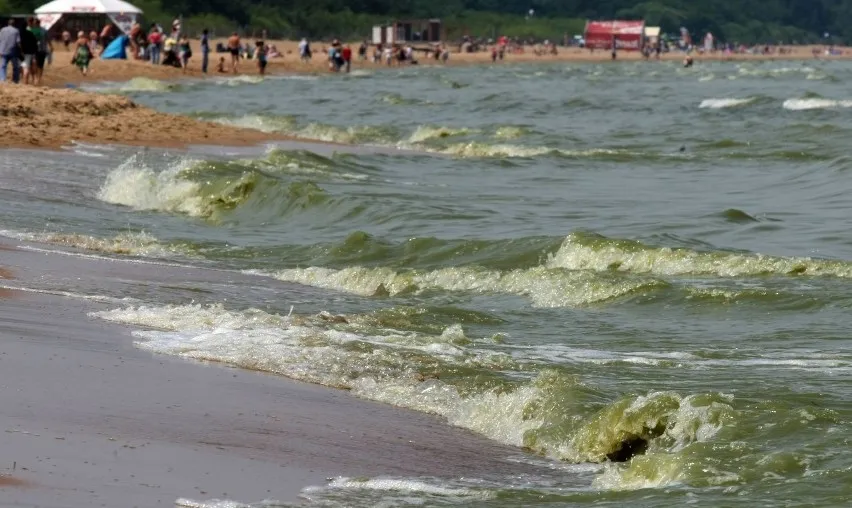Zdjęcie Gdzie zakaz kąpieli nad Bałtykiem? Sprawdź, które plaże są zamknięte