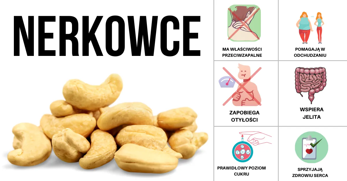 Zdjęcie Orzechy nerkowca czy zdrowe? Sprawdź ich właściwości i korzyści zdrowotne