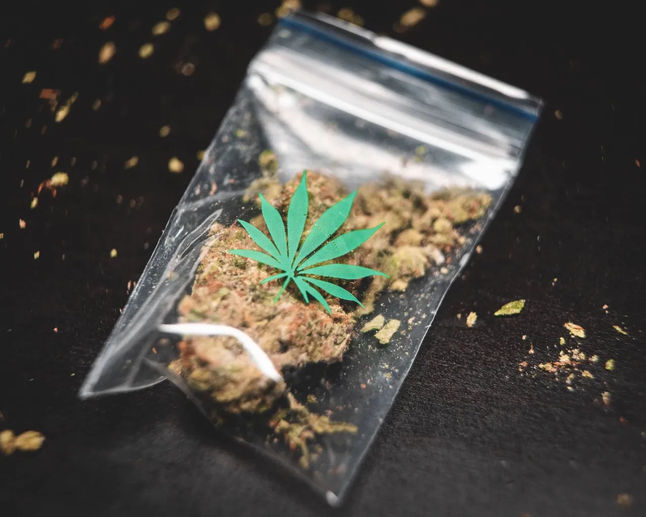 Zdjęcie Ile grozi za posiadanie 1 kg marihuany? Poznaj surowe konsekwencje