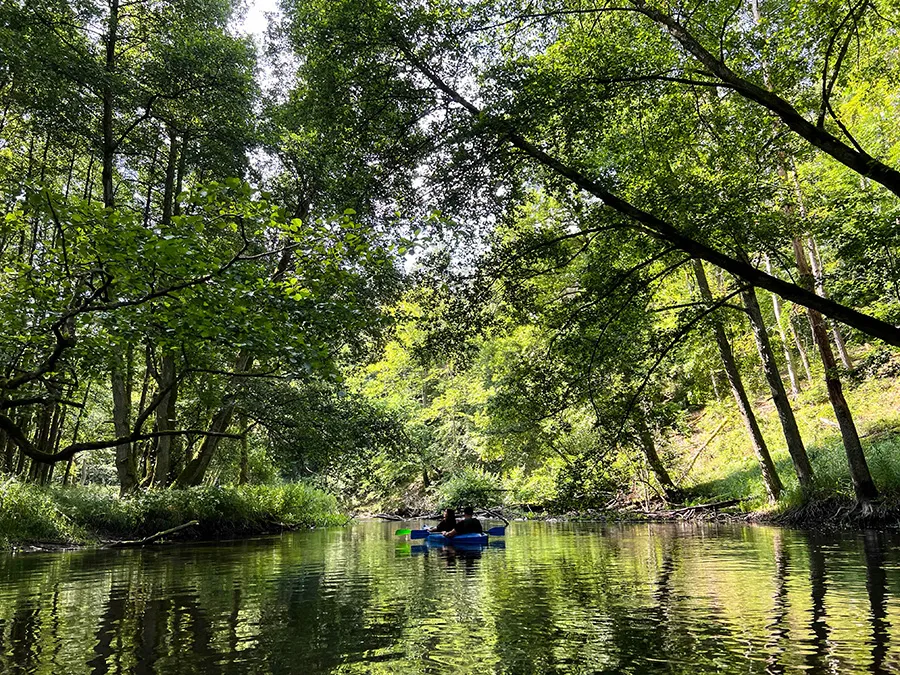 Zdjęcie Spływy kajakowe Drawą: Trasy, Ceny i Poradnik [2024]