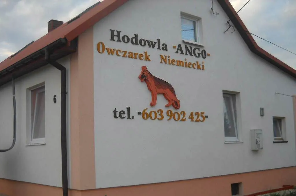Zdjęcie Jaką farbą pomalować styropian, aby uniknąć uszkodzeń materiału?