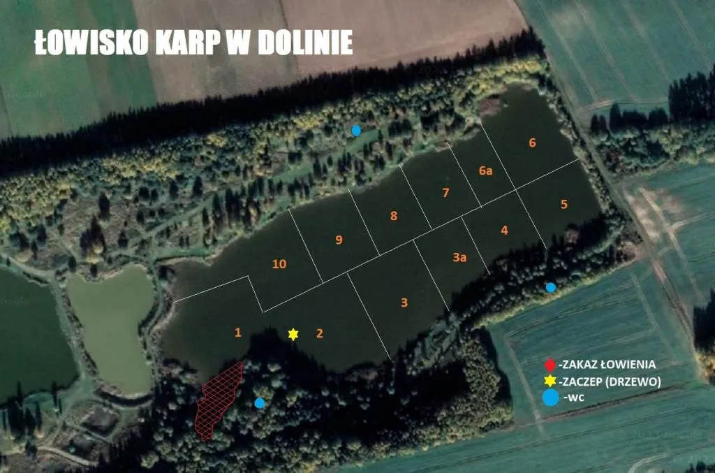 Zdjęcie Łowisko karp w dolinie – idealne miejsce na wędkarskie wyzwania