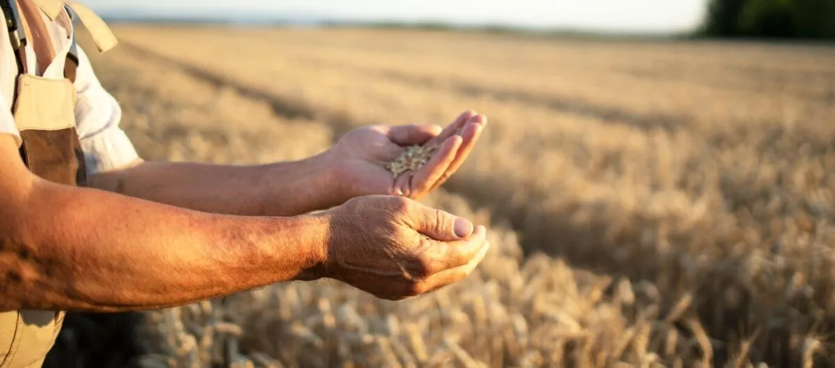 Zdjęcie Zielony ład co to znaczy? Kluczowe cele i znaczenie dla UE
