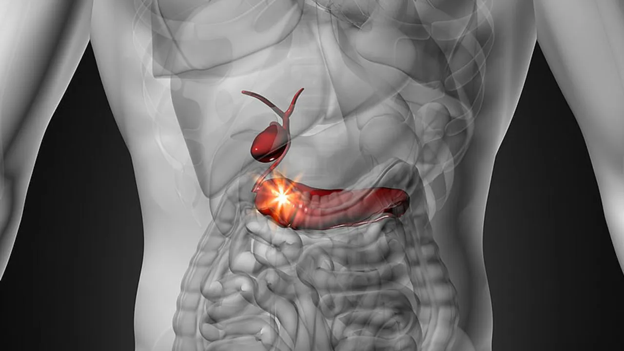 Zdjęcie Wann ist die Vorsorge für Bauchspeicheldrüsenkrebs sinnvoll? Risiken verstehen