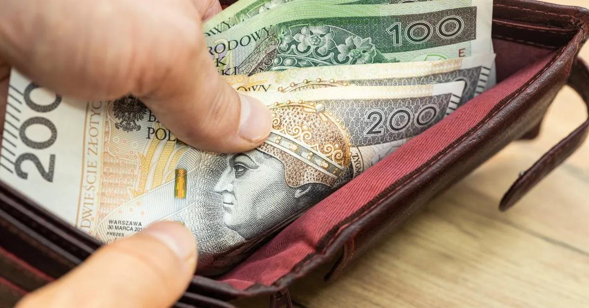 Zdjęcie Ile można zarobić bez działalności: wszystko o limitach i przepisach