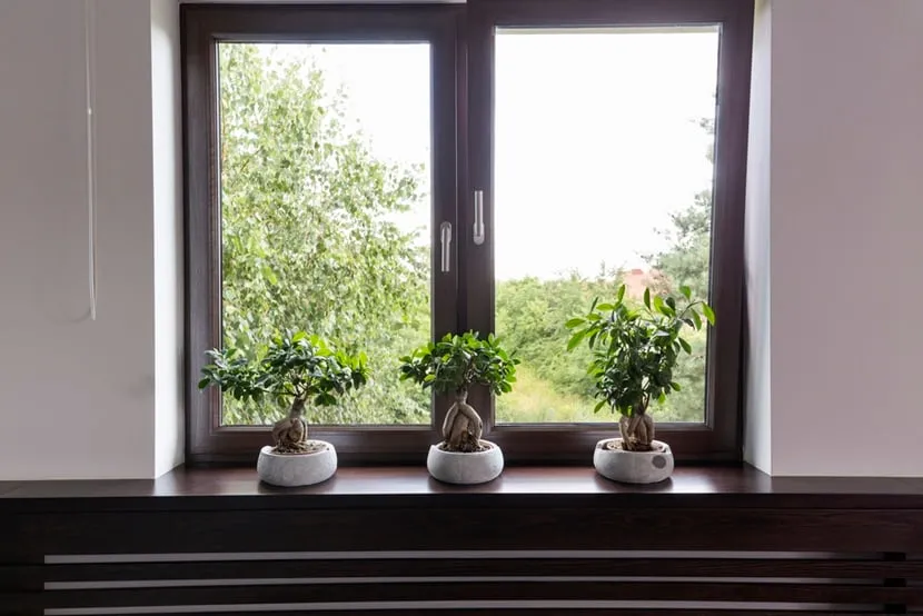 Zdjęcie Jak ozdobić parapet w sypialni: 7 inspirujących pomysłów