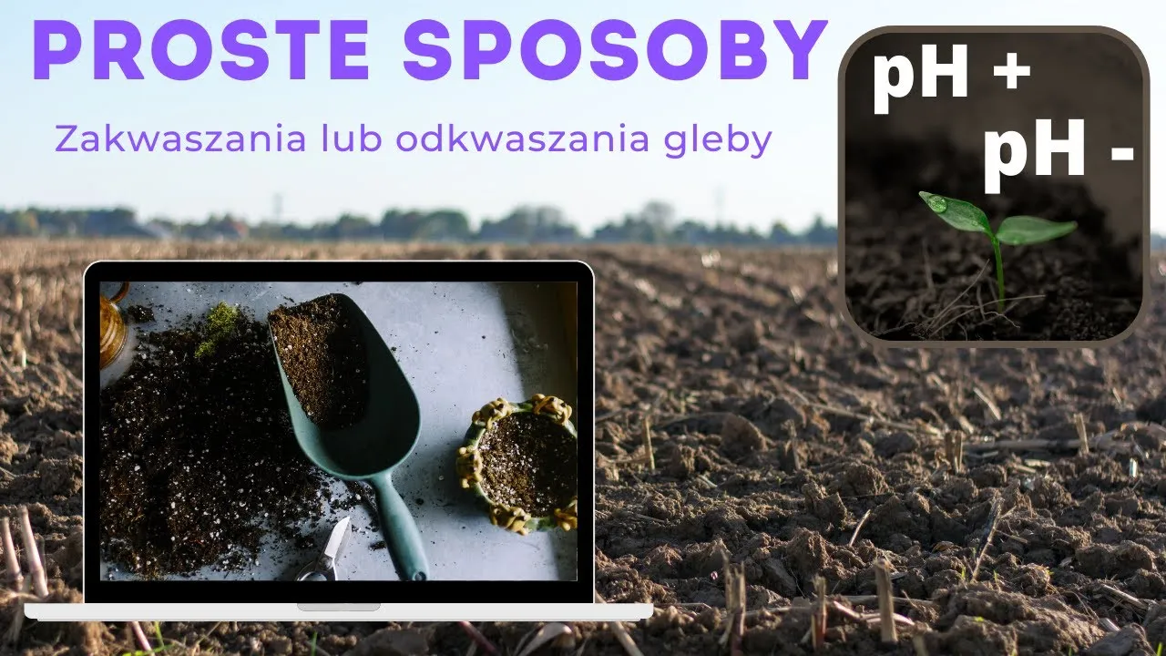 Zdjęcie Jak zmienić pH gleby? Praktyczny poradnik wapnowania i zakwaszania