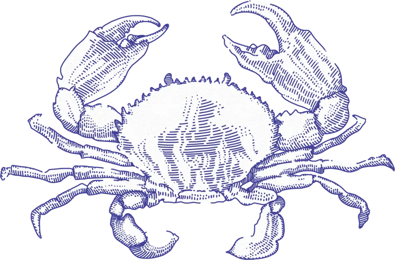 Zdjęcie Rak - Horoskop i Charakterystyka: Poznaj Cechy Tego Znaku Zodiaku