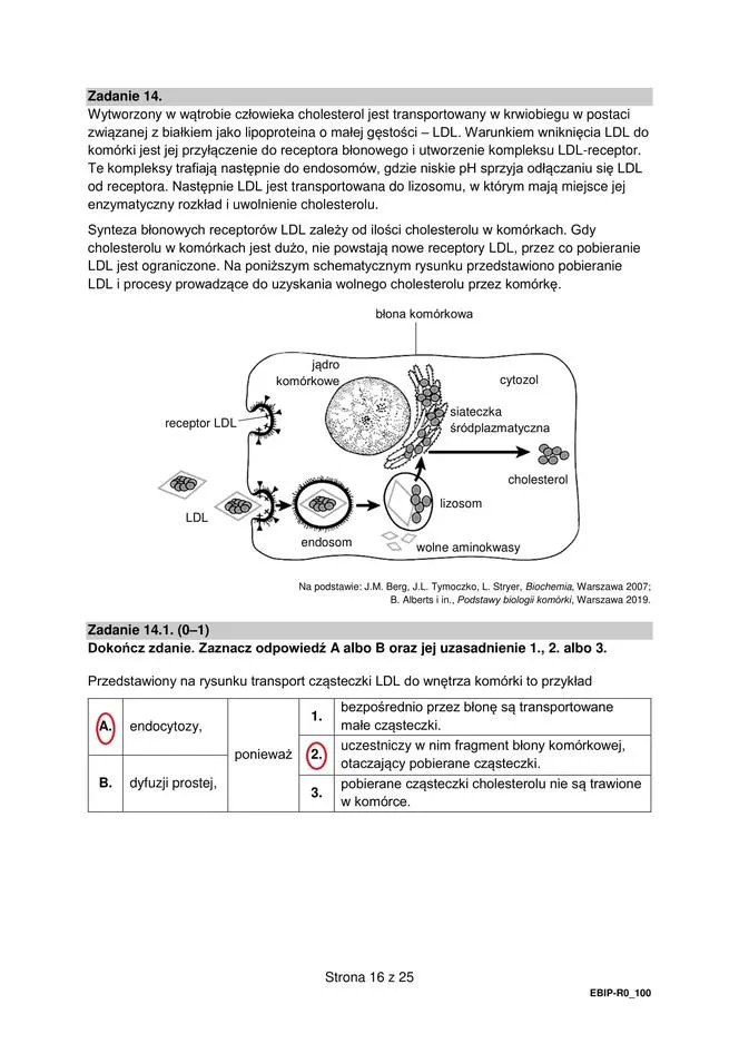 Zdjęcie Kiedy jest biologia rozszerzona? Sprawdź datę egzaminu i uniknij niespodzianek!