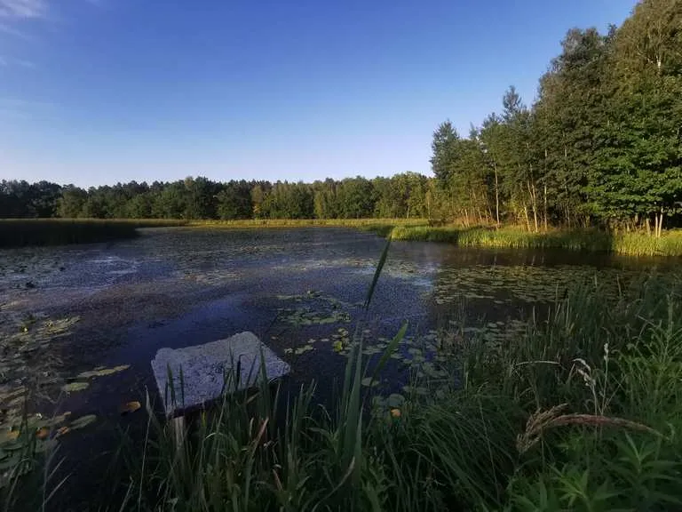 Zdjęcie Trasy rowerowe Tychy – odkryj najlepsze szlaki i uniknij rozczarowań