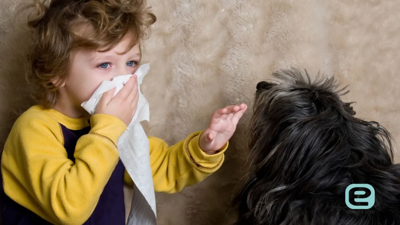 Zdjęcie Alergia na sierść psa u dzieci: objawy, które mogą zaskoczyć rodziców