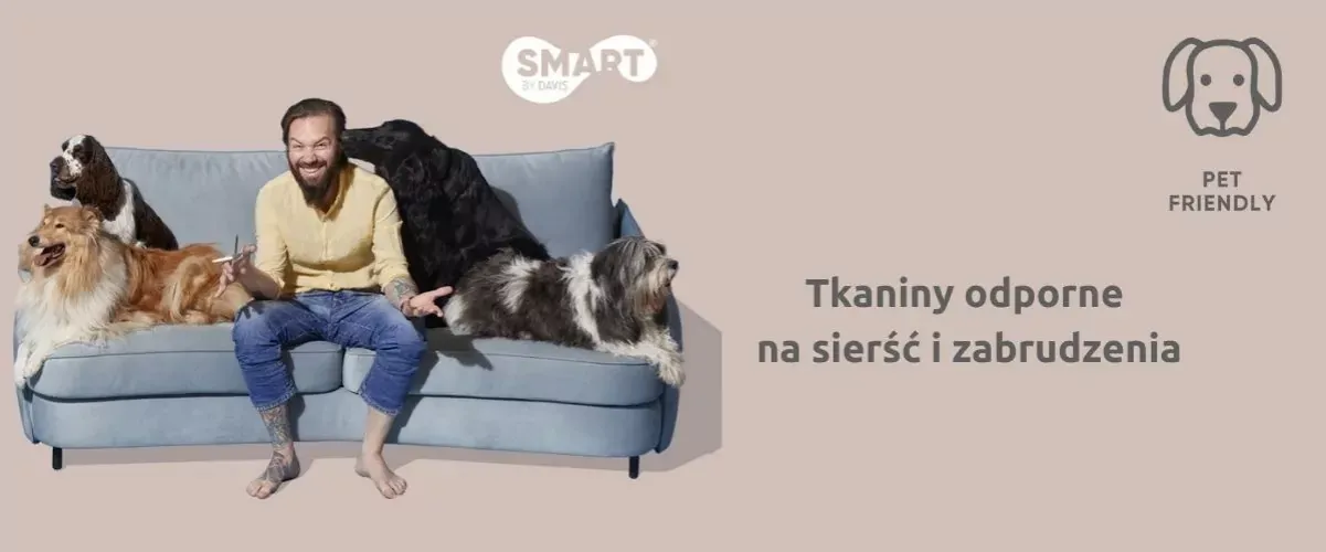 Zdjęcie Skuteczne sposoby, jak zabezpieczyć kanapę przed psem i jego zniszczeniami